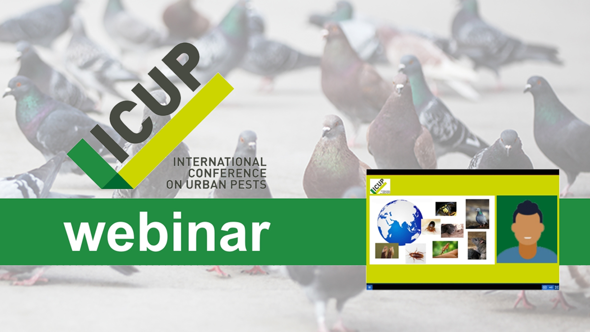 icup-webinar-pest-control icup-webinar-pest-control